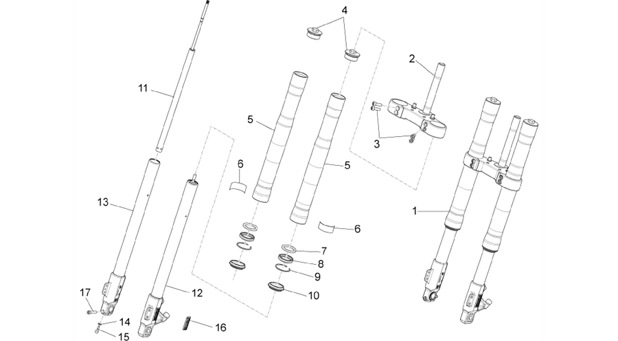 Front fork Paioli