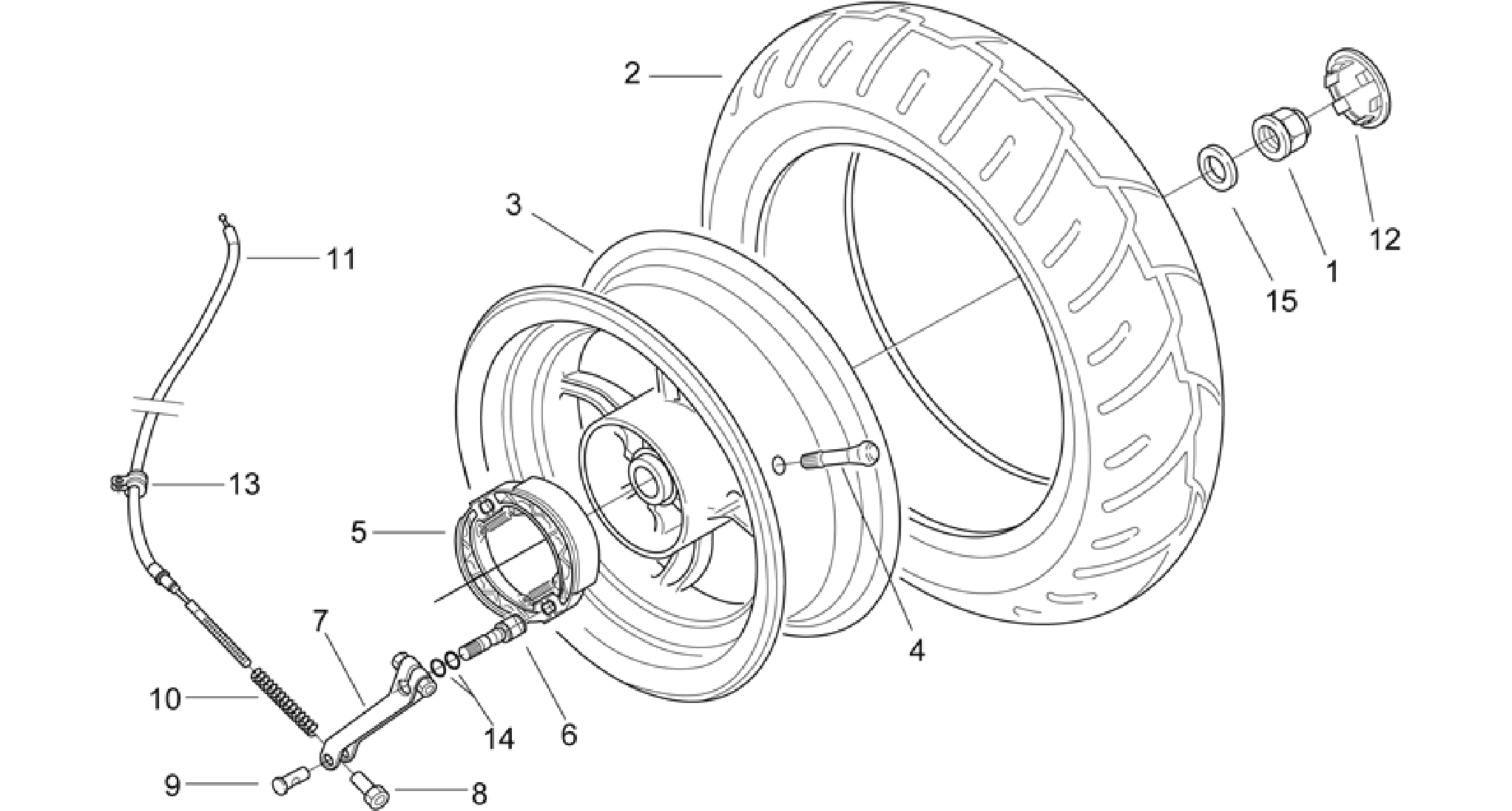 Rear wheel - drum brake