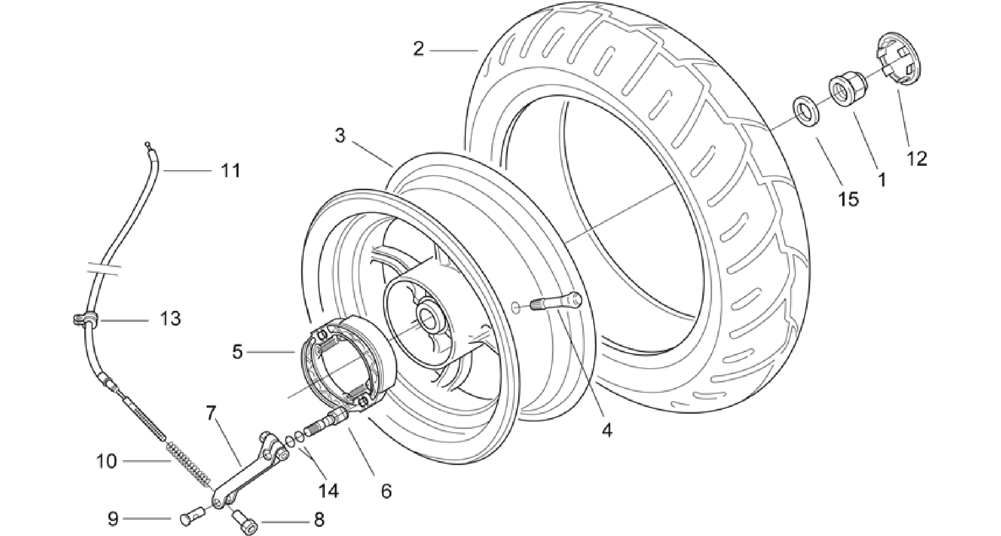 Rear wheel - drum brake
