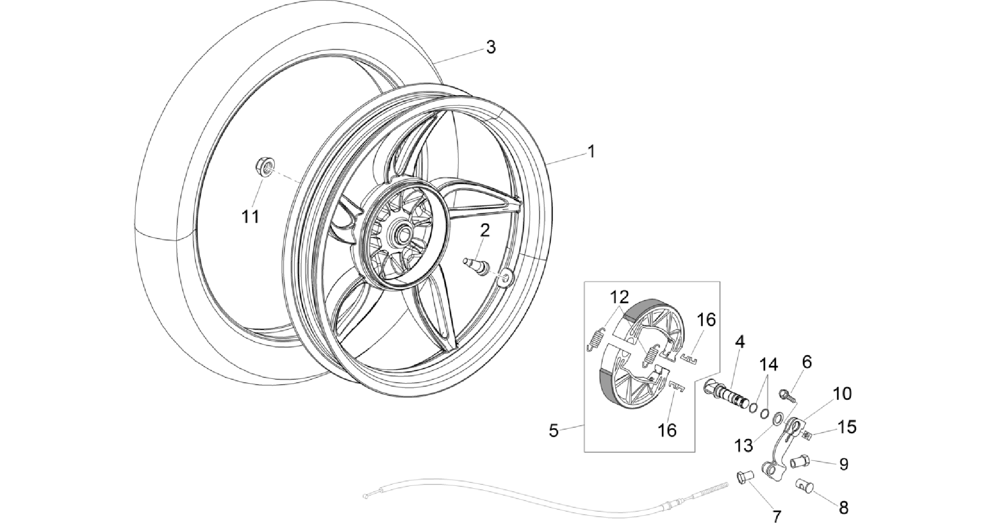 Rear wheel - disc brake