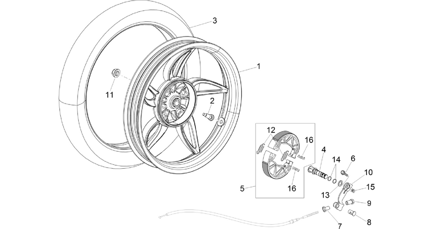 Rear wheel - drum brake