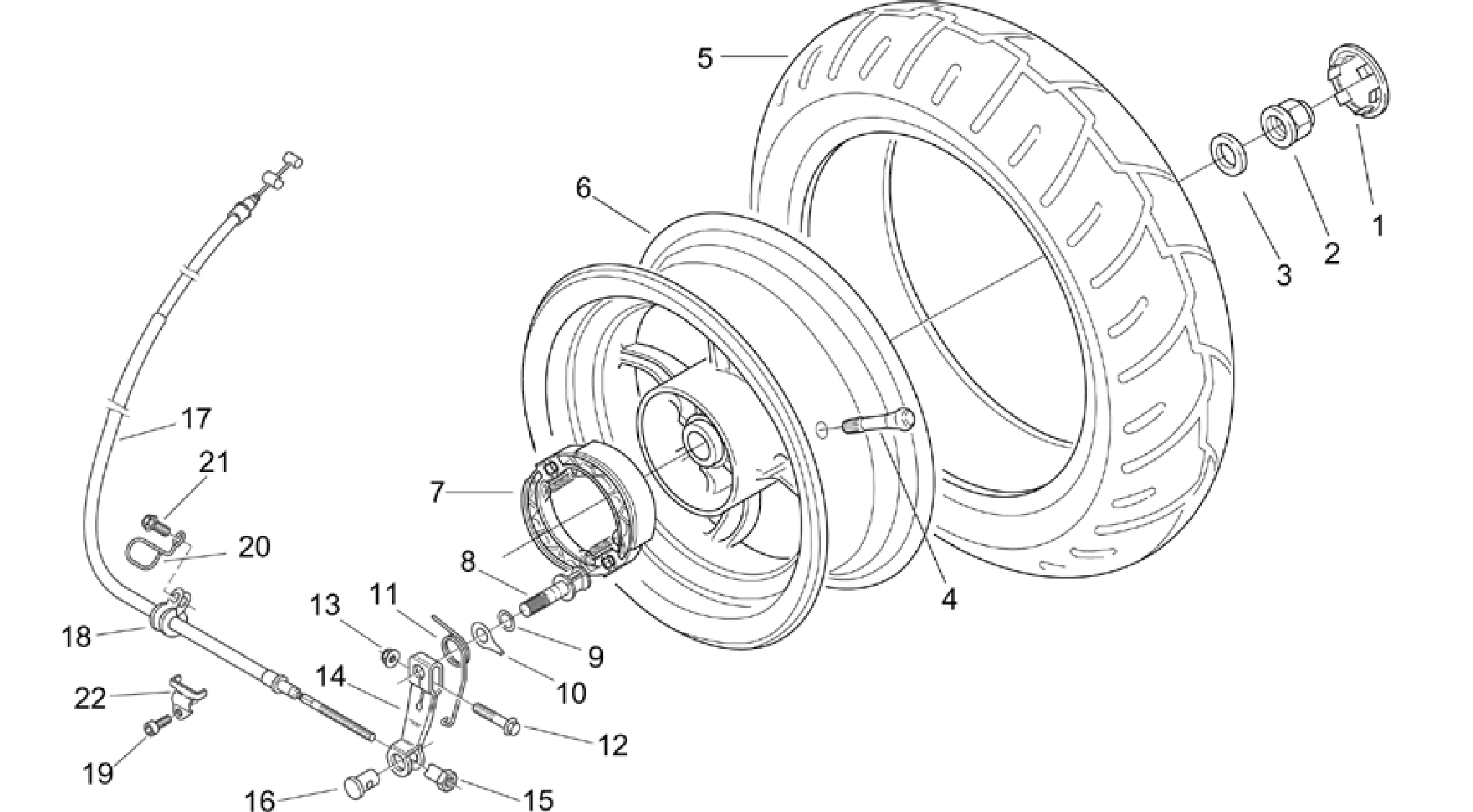 Rear wheel - drum brake