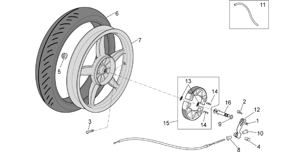 Rear wheel - drum brake