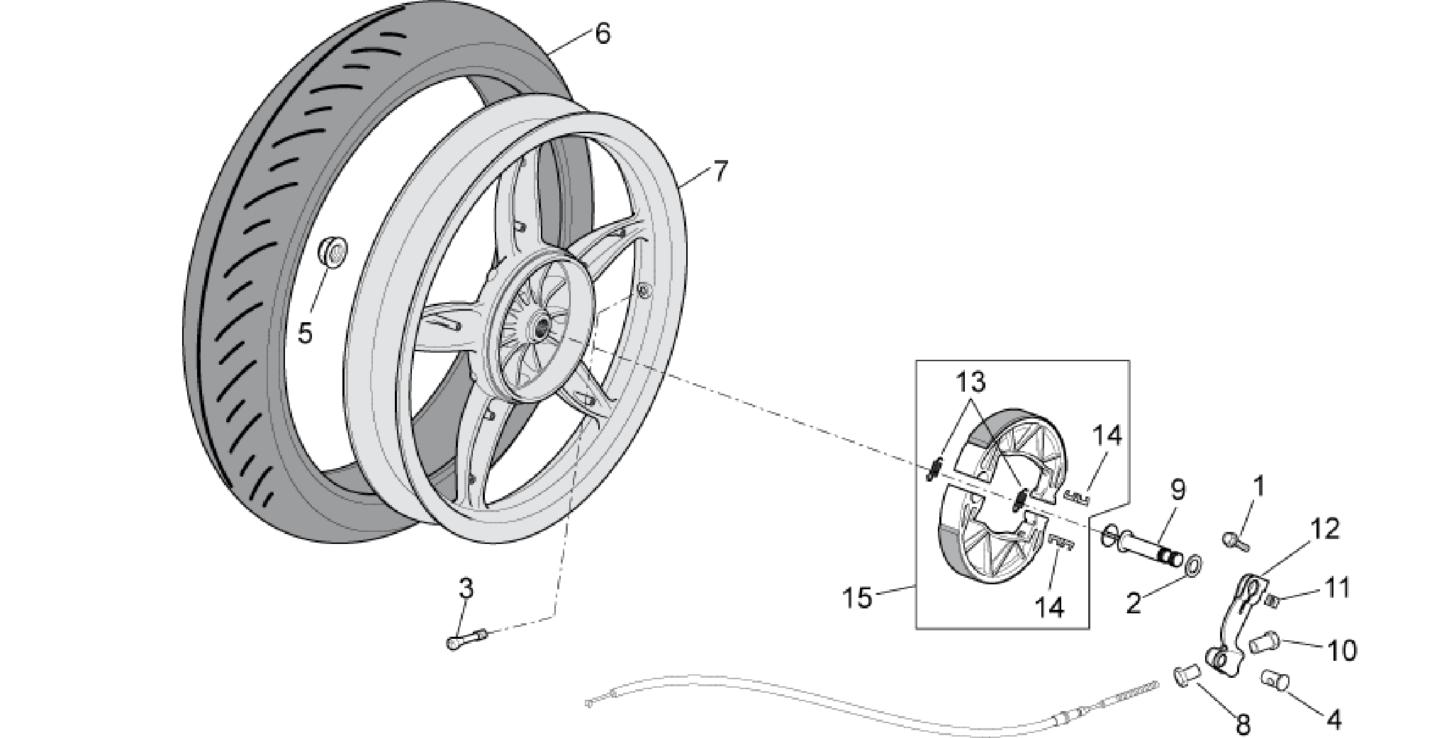Rear wheel - drum brake