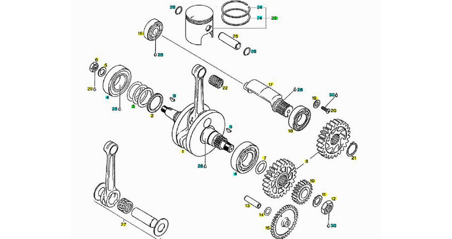 Drive shaft