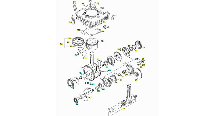 Drive shaft - Cylinder