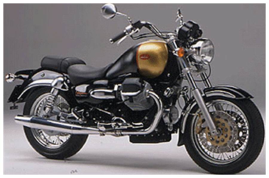 California Special Sport 1100 2001-2002
