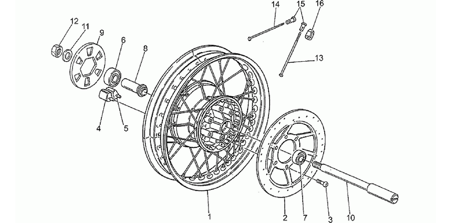 Rear wheel, spokes