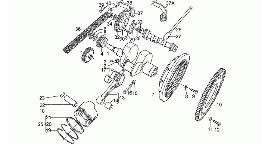 Drive shaft