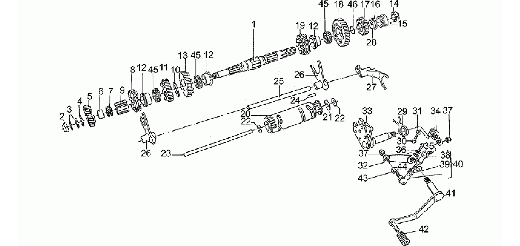 Driven shaft