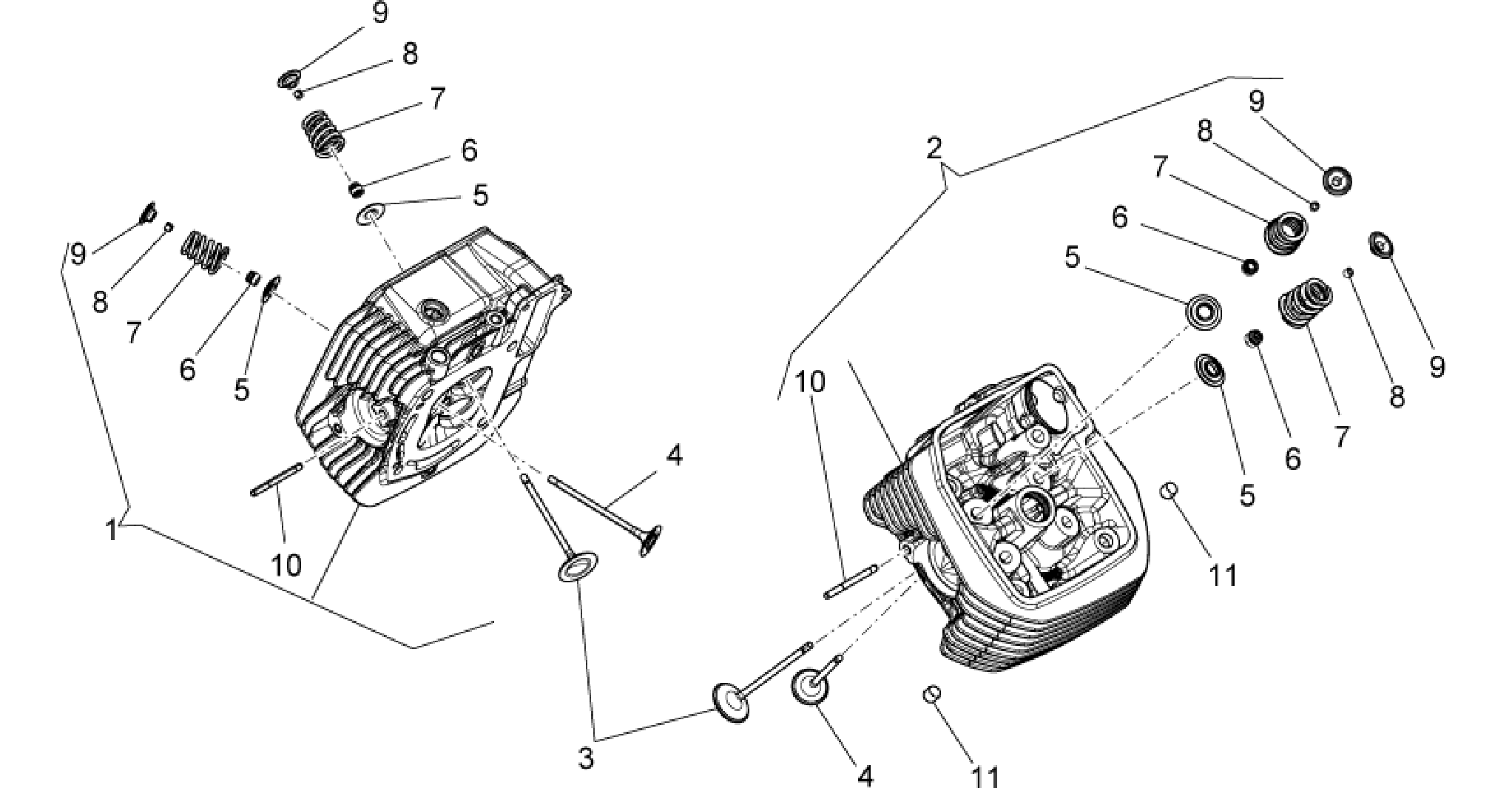 Cylinder head and valves