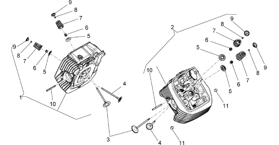 Cylinder head and valves