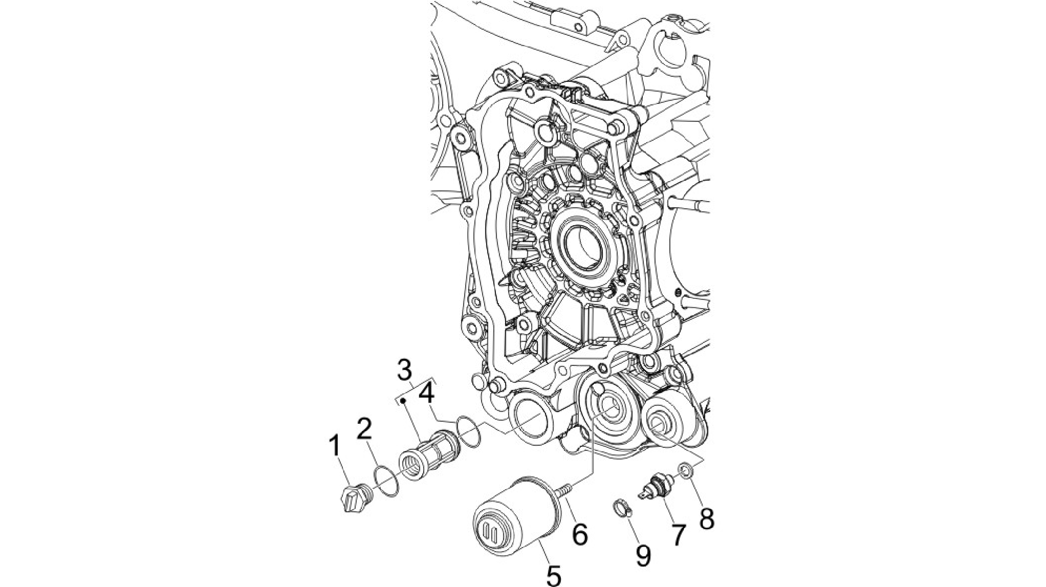 Flywheel magneto cover - Oil filter