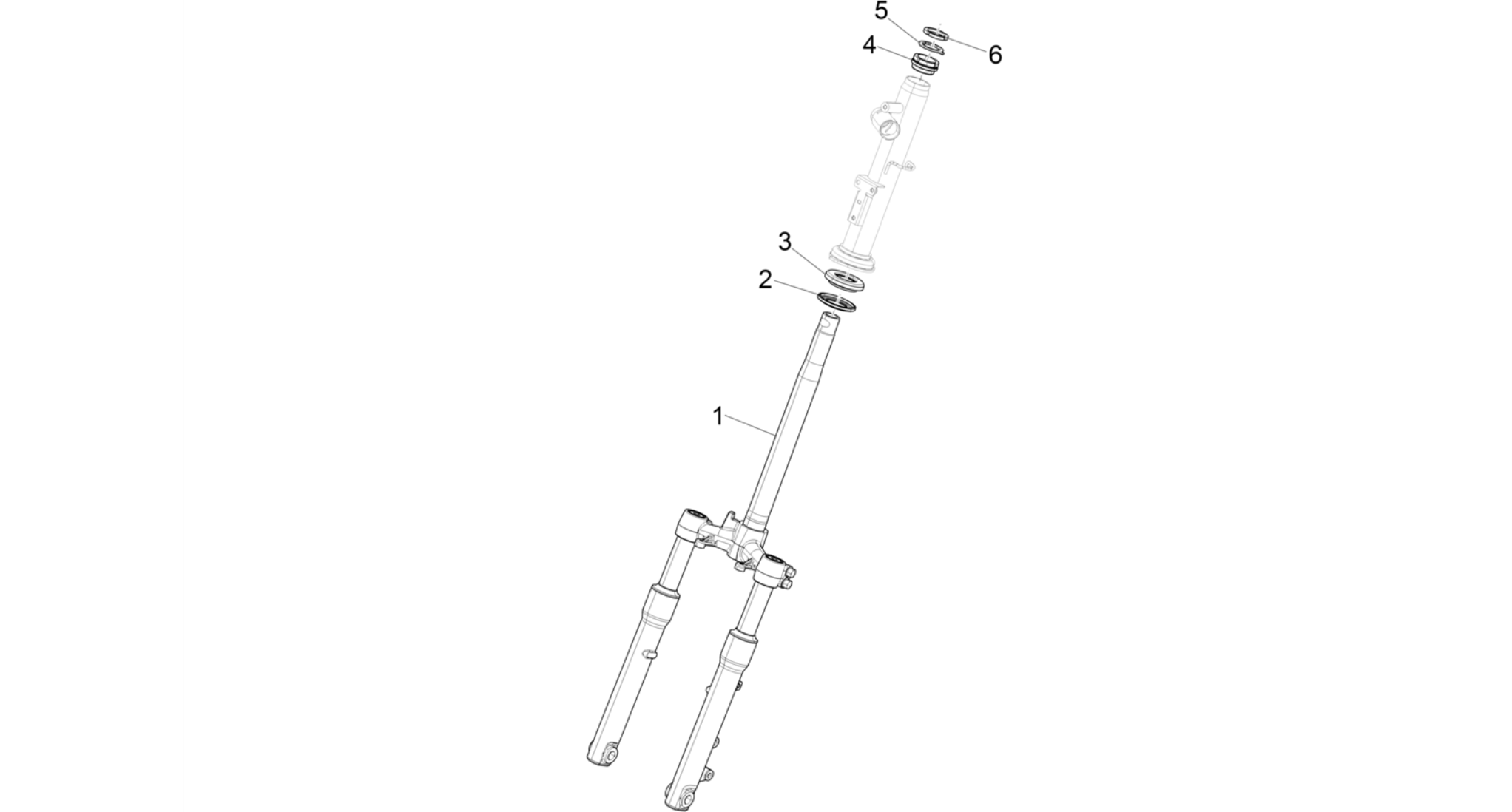 Fork/steering tube - Steering bearing unit