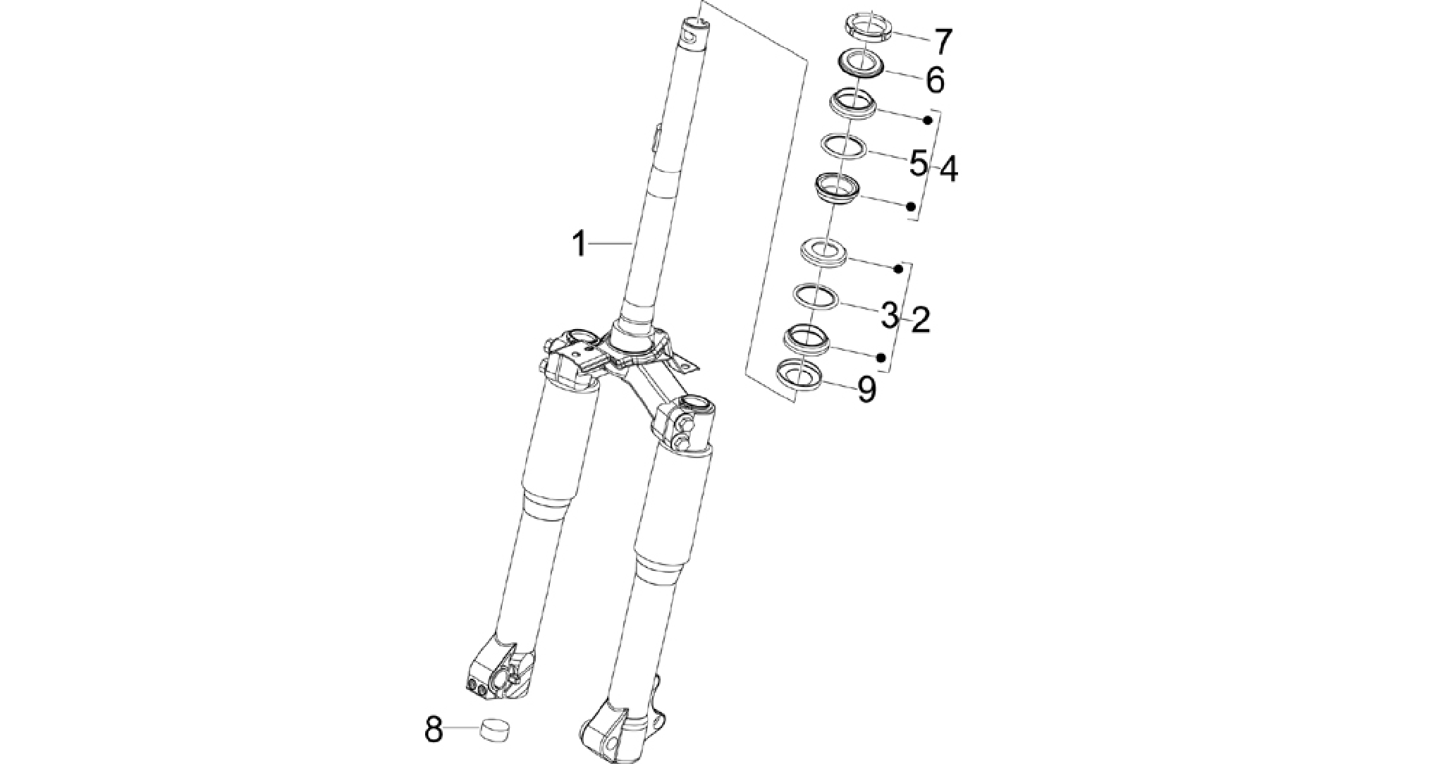Fork/steering tube - Steering bearing unit