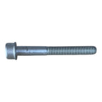 SCREW M50X6