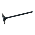 INTAKE VALVE