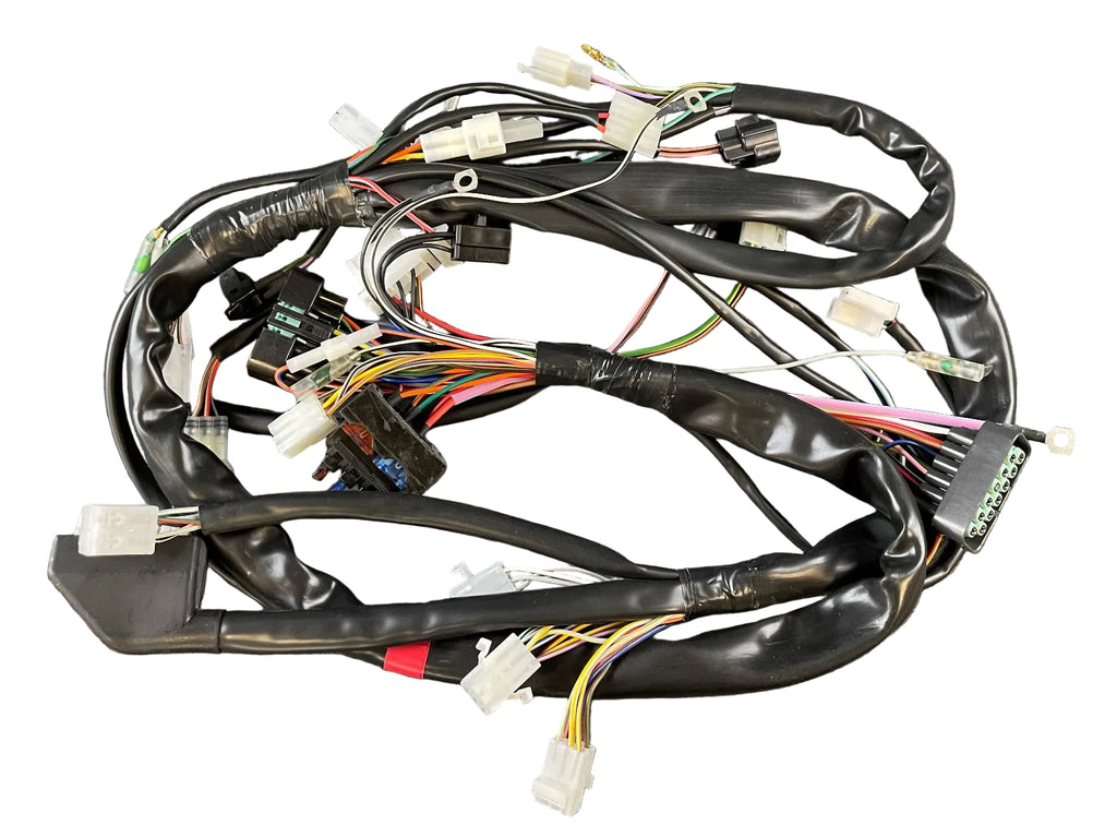 MAIN WIRING HARNESS