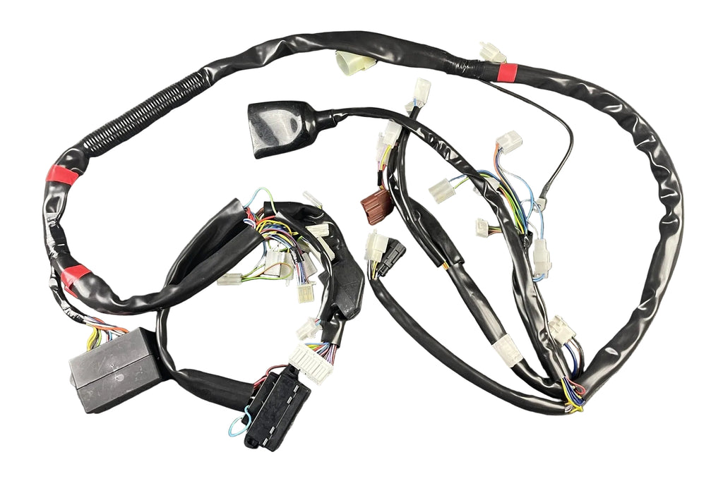 MAIN WIRING HARNESS