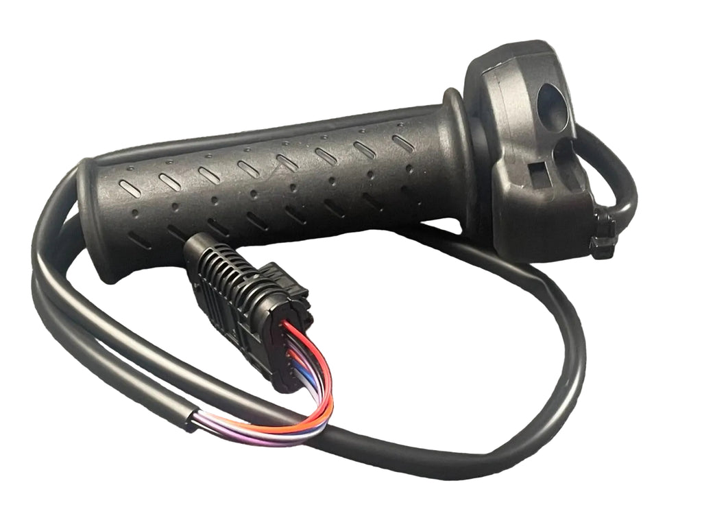 ELECTRONIC GAS CONTROL