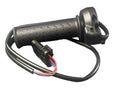 ELECTRONIC GAS CONTROL