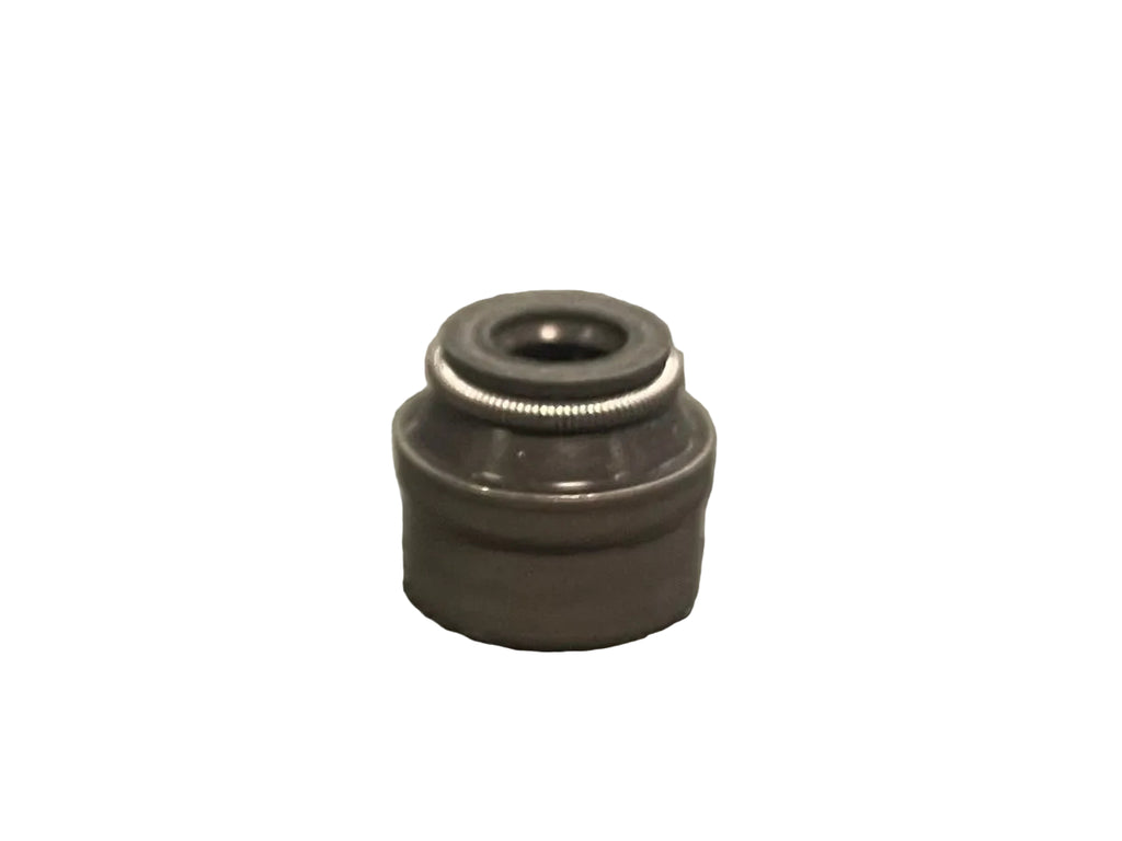 VALVE GASKET RING