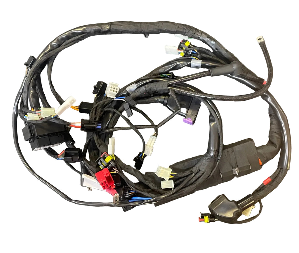 MAIN WIRING HARNESS